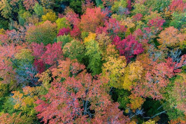Aerial view of Hugoboom Lake in fall color-Alger County-Michigan